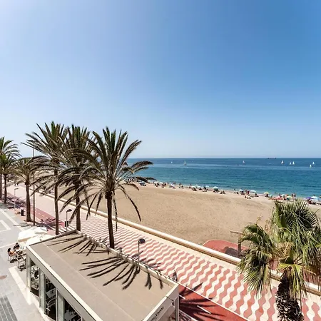 Faro's Zapillo -