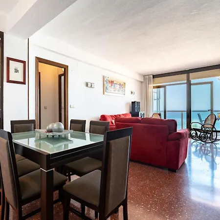 Daire Faro's Zapillo -