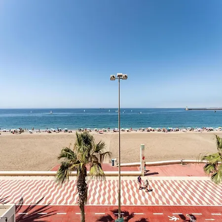 Faro's Zapillo - Daire *